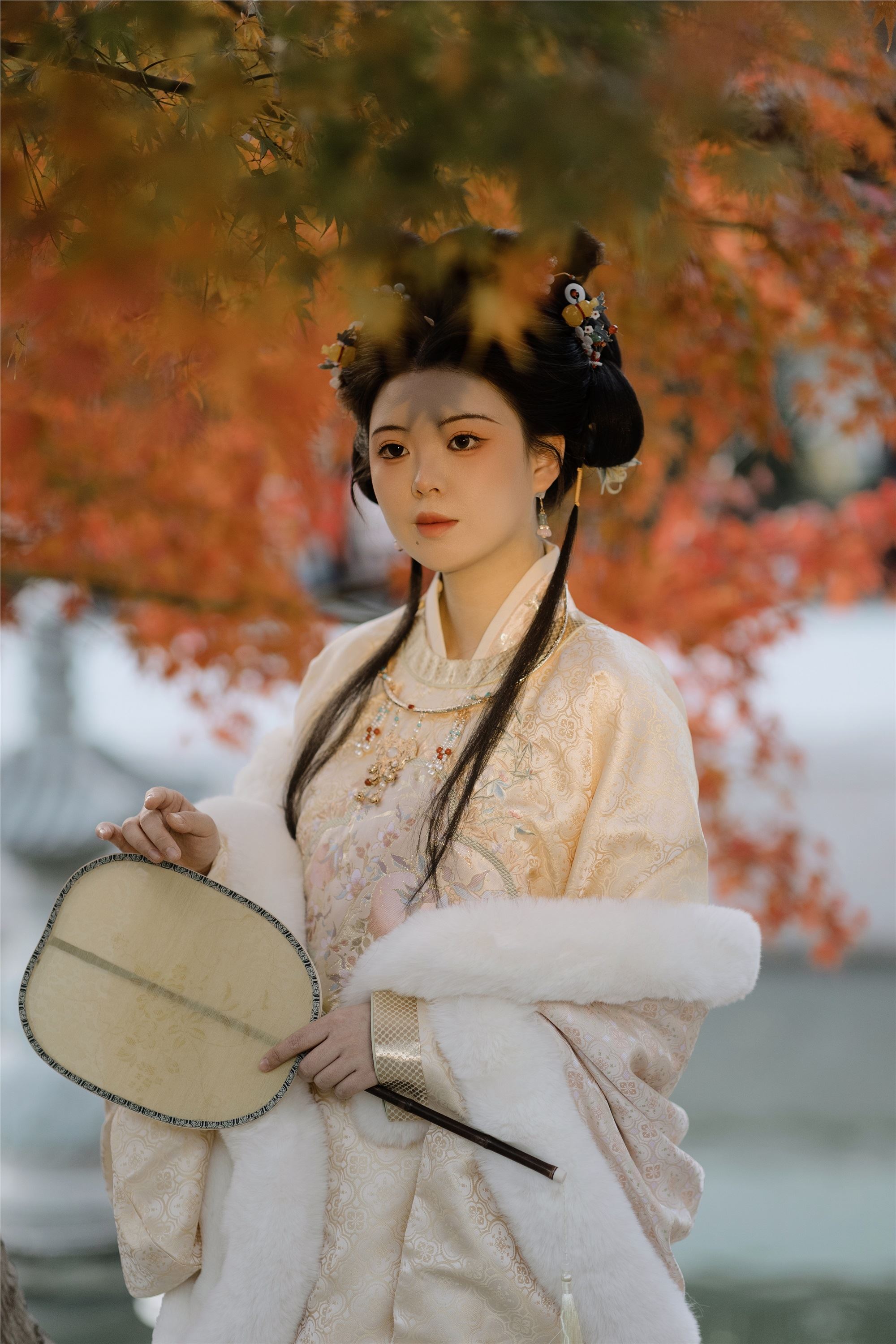 YITUYU艺图语 2025.02.02 姑苏秋枫 潘小落